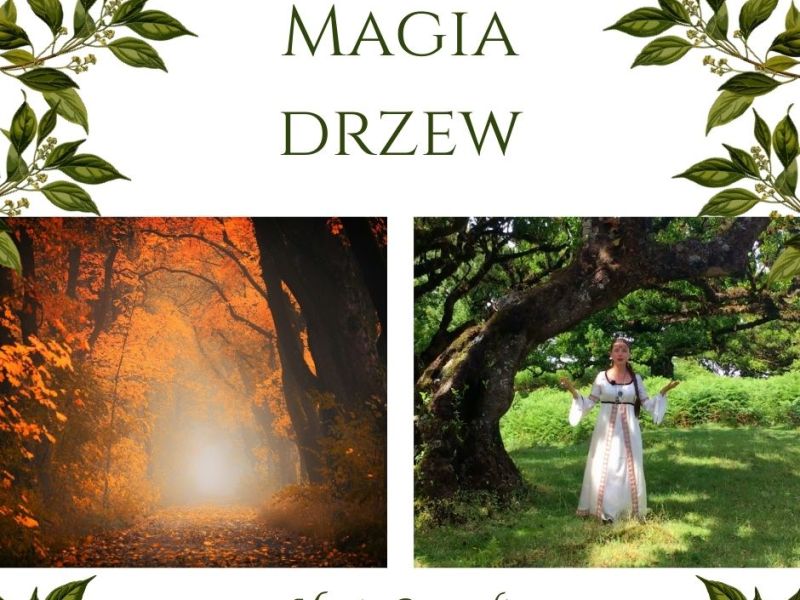 Magia Drzew, podcast Marii Bucardi